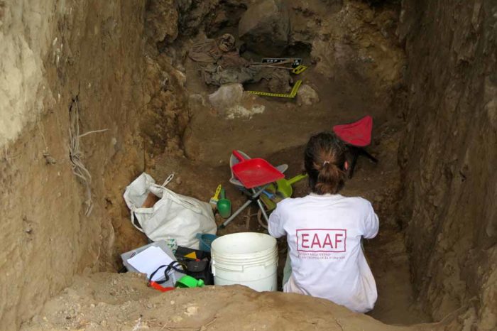 Cómo trabaja el Equipo Argentino  de Antropología Forense, rol clave en la identificación de  desaparecidos: "Tenemos un compromiso asumido"
