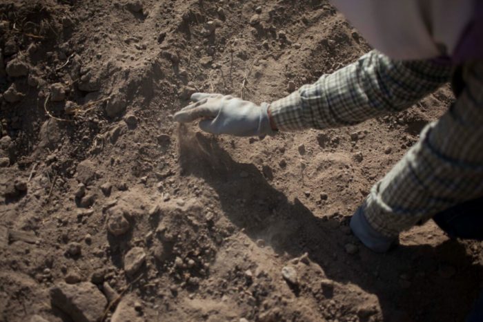 ¿Cómo se acomoda la verdad?