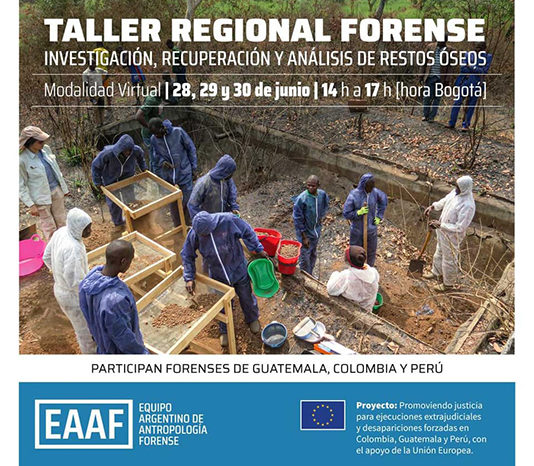 Taller Regional Forense