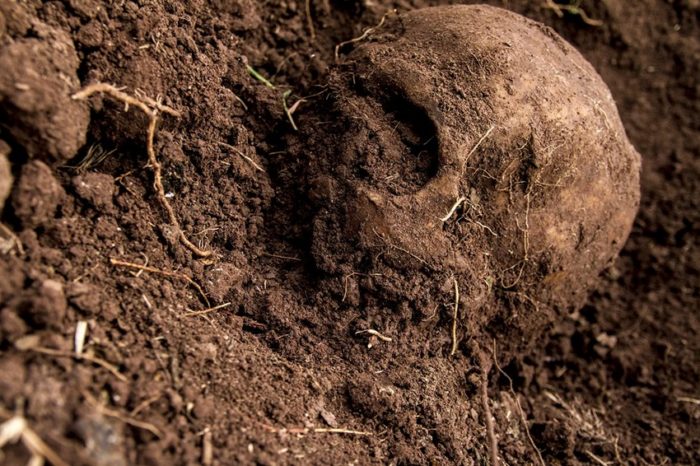 Revolución en búsquedas: nuevas tecnologías detectan restos humanos en México