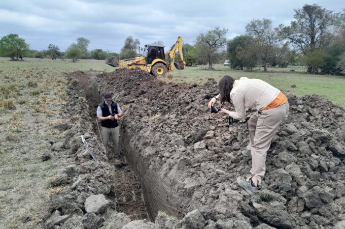 Reanudación de tareas de búsqueda