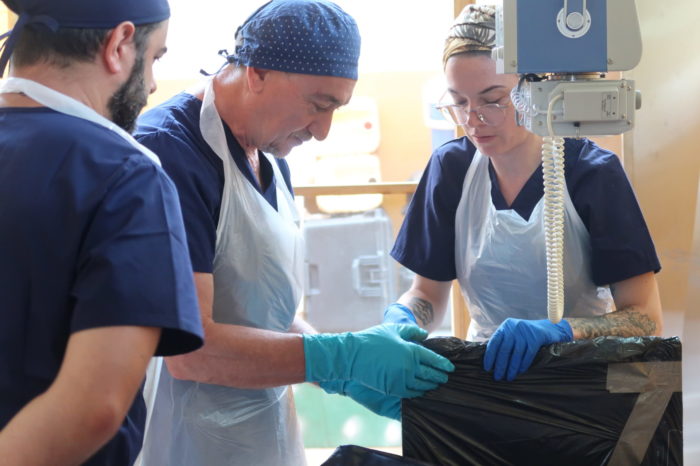 Corte Penal Internacional: identificación y restitución de víctimas