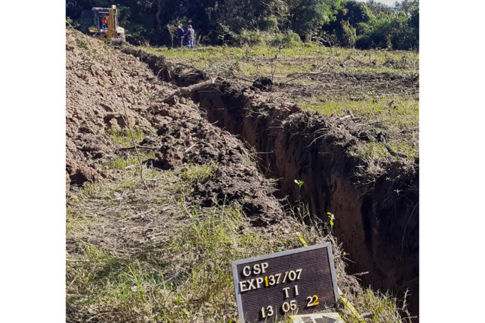 Reanudación de tareas de búsqueda en Campo San Pedro, Santa Fe, Argentina